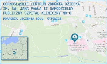 PORADNIA LECZENIA BÓLU - GÓRNOŚLĄSKIE CENTRUM ZDROWIA DZIECKA IM. ŚW. JANA PAWŁA II SAMODZIELNY PUBLICZNY SZPITAL KLINICZNY NR 6 - UL. MEDYKÓW 16,  KATOWICE